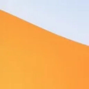 Meet your Posher, Maxine